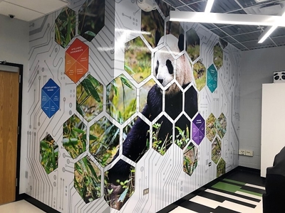Window & Wall Graphics Photo